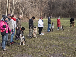 Nyílt nap a Duna Dog Center Kutyaiskolában - fotó: Ónodi Zoltán