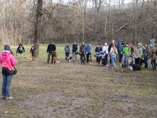 Nyílt nap a Duna Dog Center Kutyaiskolában - fotó: Ónodi Zoltán
