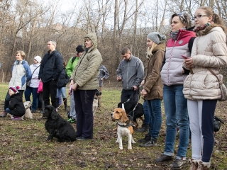 Nyílt nap a Duna Dog Center Kutyaiskolában - fotó: Ónodi Zoltán