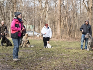 Nyílt nap a Duna Dog Center Kutyaiskolában - fotó: Ónodi Zoltán