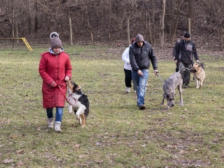 Nyílt nap a Duna Dog Center Kutyaiskolában - fotó: Ónodi Zoltán