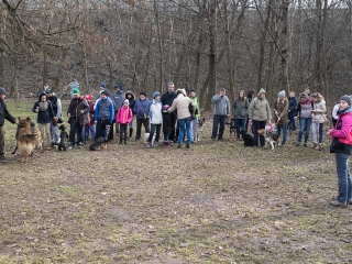 Nyílt nap a Duna Dog Center Kutyaiskolában - fotó: Ónodi Zoltán