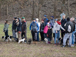 Nyílt nap a Duna Dog Center Kutyaiskolában - fotó: Ónodi Zoltán