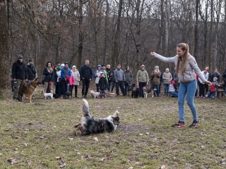 Nyílt nap a Duna Dog Center Kutyaiskolában - fotó: Ónodi Zoltán