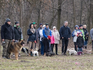 Nyílt nap a Duna Dog Center Kutyaiskolában - fotó: Ónodi Zoltán