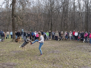 Nyílt nap a Duna Dog Center Kutyaiskolában - fotó: Ónodi Zoltán