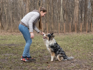 Nyílt nap a Duna Dog Center Kutyaiskolában - fotó: Ónodi Zoltán
