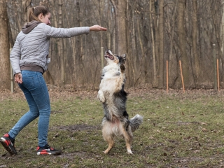 Nyílt nap a Duna Dog Center Kutyaiskolában - fotó: Ónodi Zoltán