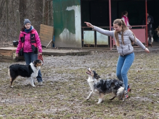 Nyílt nap a Duna Dog Center Kutyaiskolában - fotó: Ónodi Zoltán