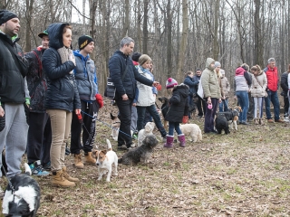 Nyílt nap a Duna Dog Center Kutyaiskolában - fotó: Ónodi Zoltán