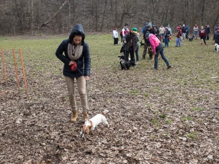 Nyílt nap a Duna Dog Center Kutyaiskolában - fotó: Ónodi Zoltán