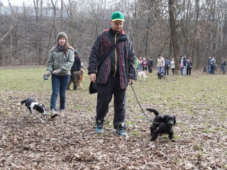 Nyílt nap a Duna Dog Center Kutyaiskolában - fotó: Ónodi Zoltán