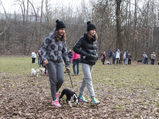 Nyílt nap a Duna Dog Center Kutyaiskolában - fotó: Ónodi Zoltán
