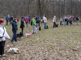 Nyílt nap a Duna Dog Center Kutyaiskolában - fotó: Ónodi Zoltán
