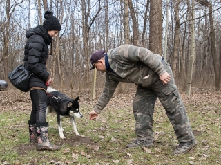 Nyílt nap a Duna Dog Center Kutyaiskolában - fotó: Ónodi Zoltán