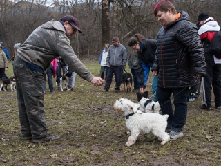 Nyílt nap a Duna Dog Center Kutyaiskolában - fotó: Ónodi Zoltán