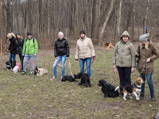 Nyílt nap a Duna Dog Center Kutyaiskolában - fotó: Ónodi Zoltán