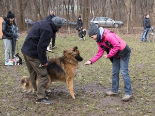Nyílt nap a Duna Dog Center Kutyaiskolában - fotó: Ónodi Zoltán