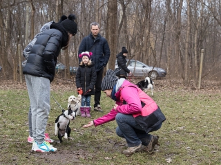 Nyílt nap a Duna Dog Center Kutyaiskolában - fotó: Ónodi Zoltán