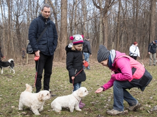 Nyílt nap a Duna Dog Center Kutyaiskolában - fotó: Ónodi Zoltán