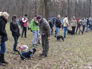 Nyílt nap a Duna Dog Center Kutyaiskolában - fotó: Ónodi Zoltán