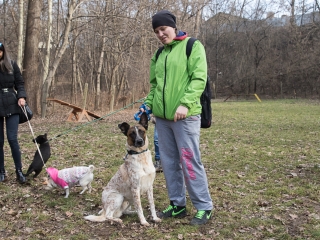 Nyílt nap a Duna Dog Center Kutyaiskolában - fotó: Ónodi Zoltán