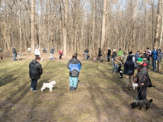 Nyílt nap a Duna Dog Center Kutyaiskolában - fotó: Ónodi Zoltán
