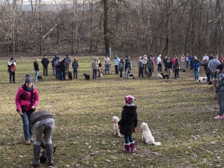 Nyílt nap a Duna Dog Center Kutyaiskolában - fotó: Ónodi Zoltán