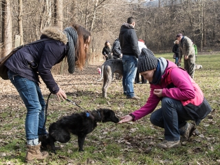 Nyílt nap a Duna Dog Center Kutyaiskolában - fotó: Ónodi Zoltán