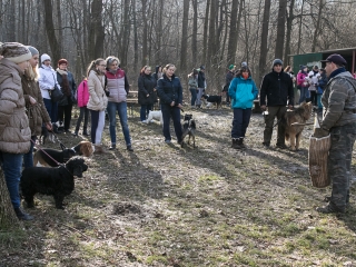 Nyílt nap a Duna Dog Center Kutyaiskolában - fotó: Ónodi Zoltán
