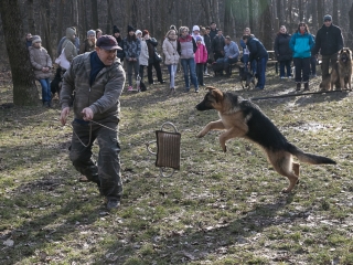 Nyílt nap a Duna Dog Center Kutyaiskolában - fotó: Ónodi Zoltán