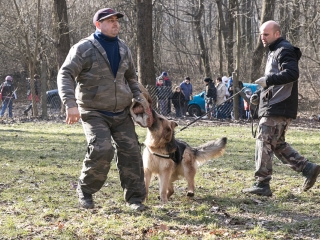 Nyílt nap a Duna Dog Center Kutyaiskolában - fotó: Ónodi Zoltán