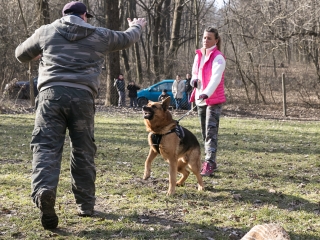 Nyílt nap a Duna Dog Center Kutyaiskolában - fotó: Ónodi Zoltán