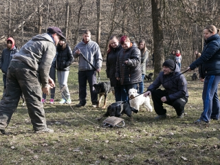 Nyílt nap a Duna Dog Center Kutyaiskolában - fotó: Ónodi Zoltán