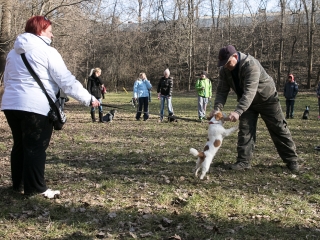 Nyílt nap a Duna Dog Center Kutyaiskolában - fotó: Ónodi Zoltán