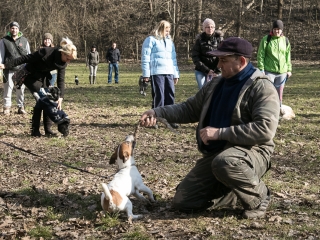 Nyílt nap a Duna Dog Center Kutyaiskolában - fotó: Ónodi Zoltán