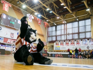 EHF-Kupa: Továbbjutás az Asztrahanyocska ellen! - fotó: Ónodi Zoltán