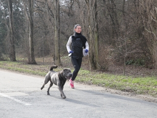 Yours Truly- Duna- Parti futás - fotó: Ónodi Zoltán
