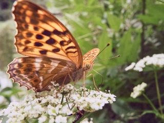 V. Szabad fotókiállítás - Rudas iskola - fotó: Ónodi Zoltán
