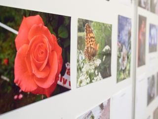 V. Szabad fotókiállítás - Rudas iskola - fotó: Ónodi Zoltán