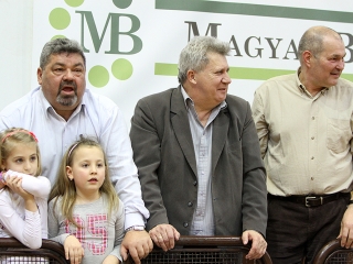 DKKA - Érd 21-20 - fotó: Sándor Judit