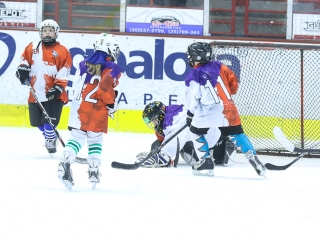 Világbajnoki mezőny a jégcsarnokban - fotó: Ónodi Zoltán