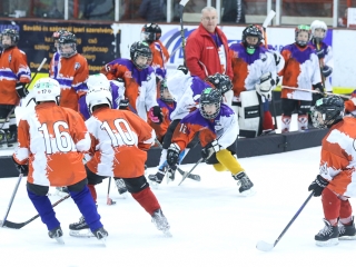 Világbajnoki mezőny a jégcsarnokban - fotó: Ónodi Zoltán