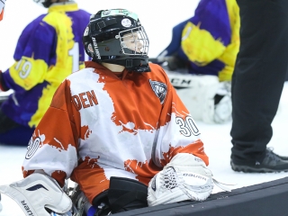 Világbajnoki mezőny a jégcsarnokban - fotó: Ónodi Zoltán