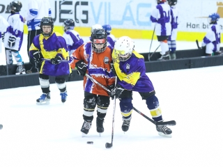 Világbajnoki mezőny a jégcsarnokban - fotó: Ónodi Zoltán