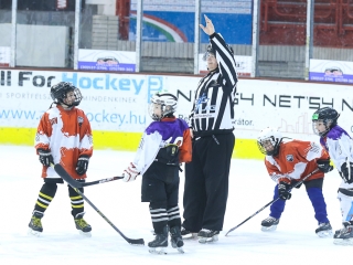Világbajnoki mezőny a jégcsarnokban - fotó: Ónodi Zoltán