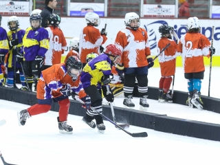 Világbajnoki mezőny a jégcsarnokban - fotó: Ónodi Zoltán