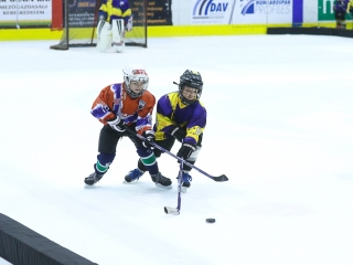 Világbajnoki mezőny a jégcsarnokban - fotó: Ónodi Zoltán