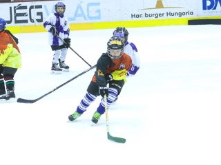 Világbajnoki mezőny a jégcsarnokban - fotó: Ónodi Zoltán