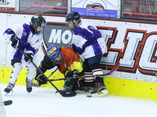 Világbajnoki mezőny a jégcsarnokban - fotó: Ónodi Zoltán